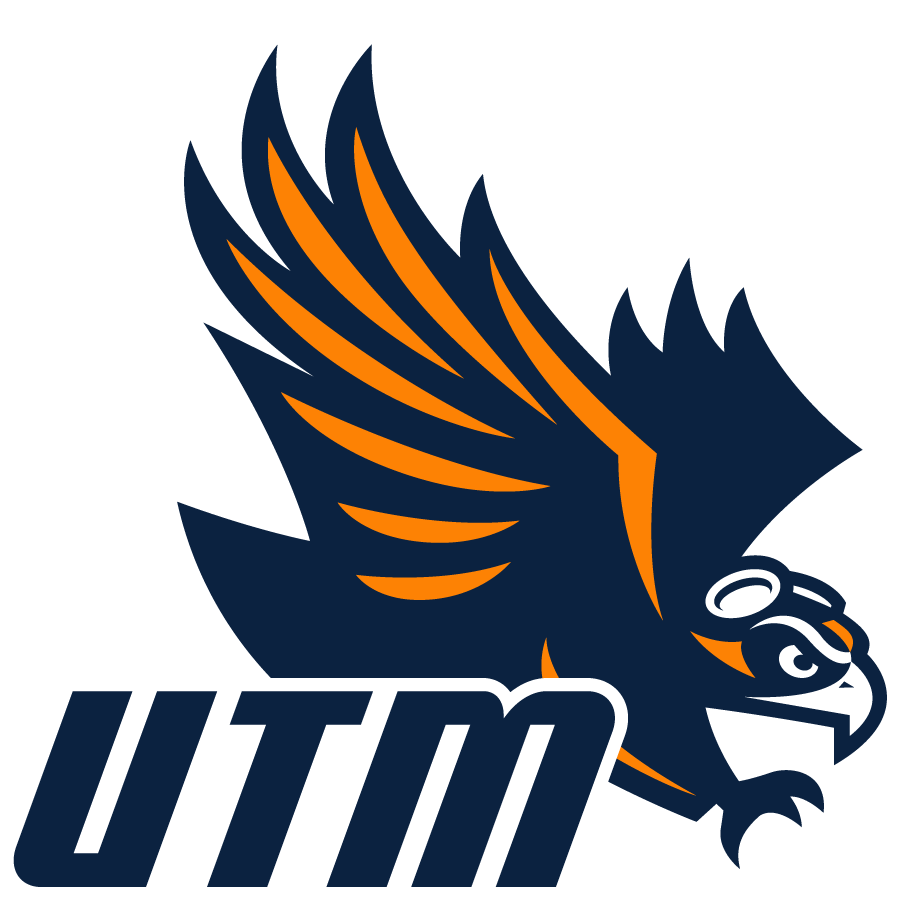 Tennessee-Martin Skyhawks 2020-Pres Secondary Logo v2 iron on transfers for T-shirts